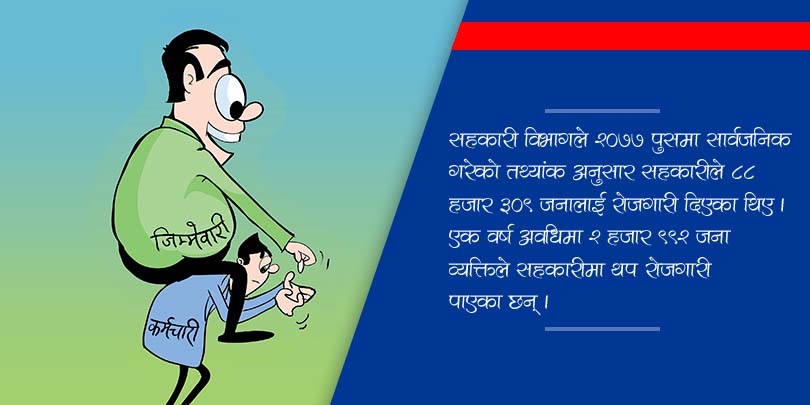 एक सहकारीबाट तीन जनालाई रोजगारी 